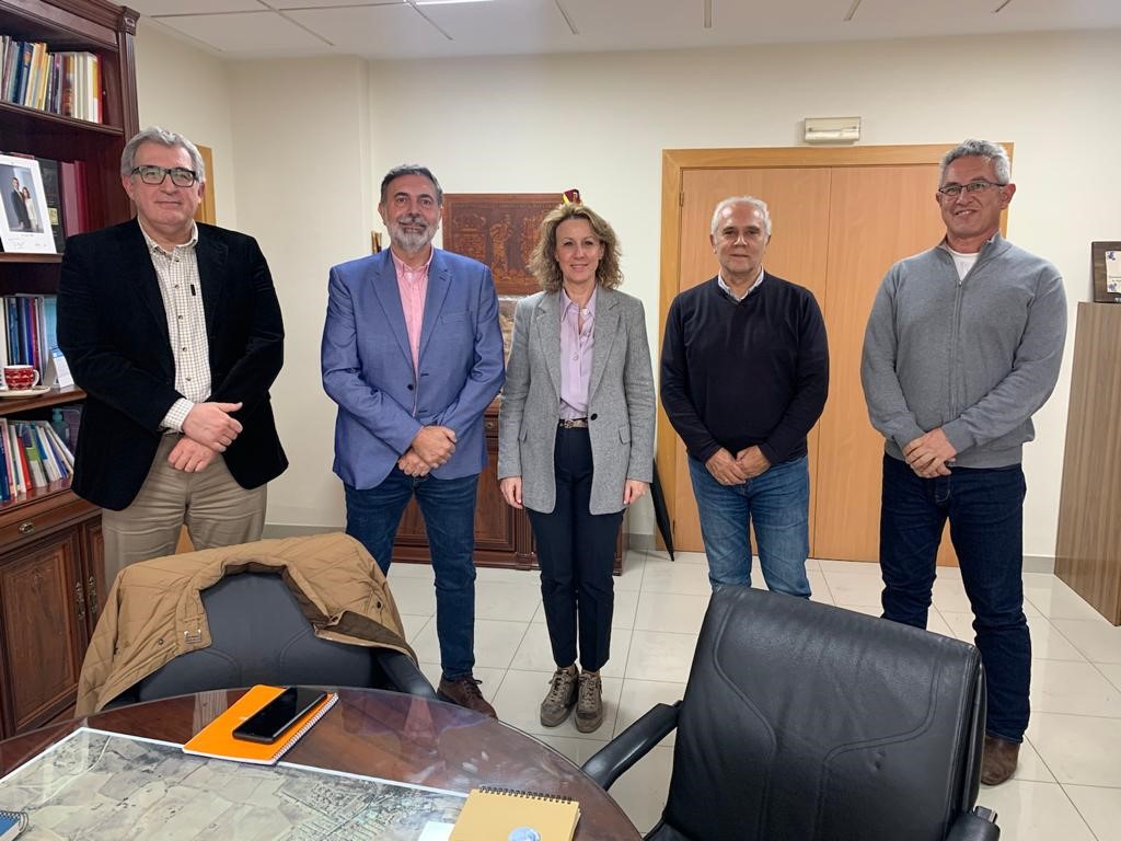 MINAS DE ALMADÉN Y ARRAYANES, S.A. (MAYASA)